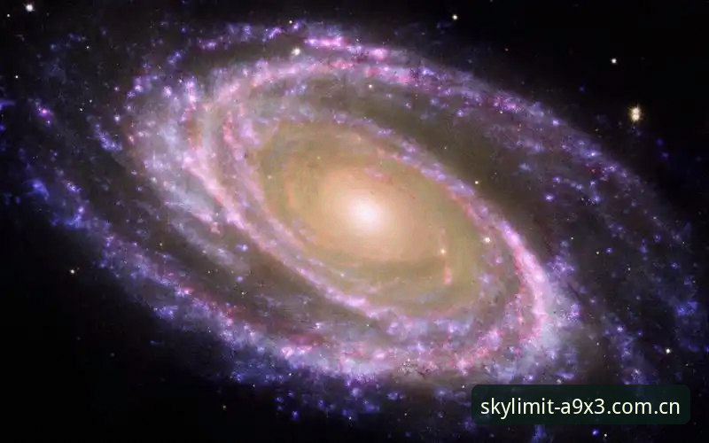 星空官网使用指南：如何快速完成星空无限A9X3注册？